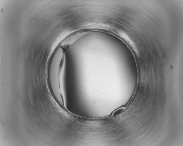 X0000087361376200705111634