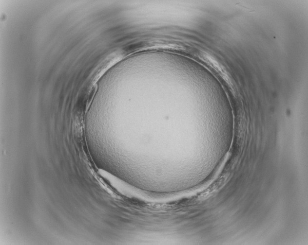 X0000087361377200705111634