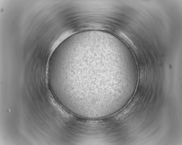 X0000087361378200705111634