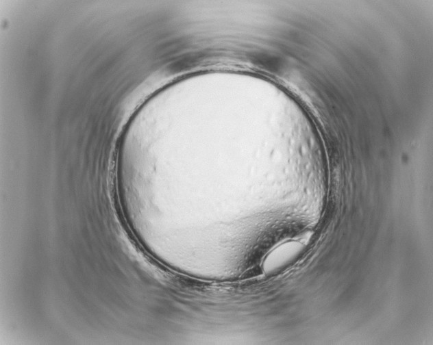 X0000087361379200705111634