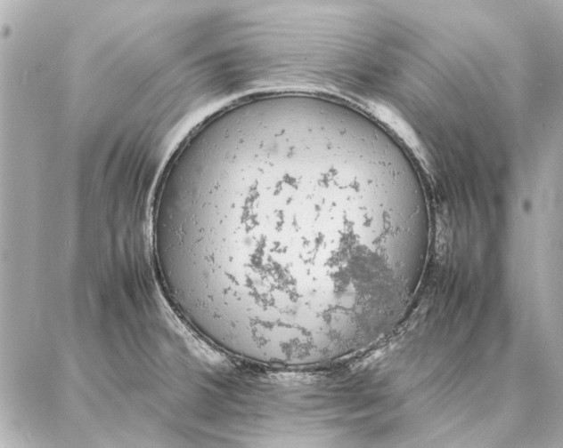 X0000087361380200705111634