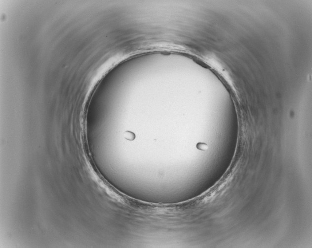 X0000087361381200705111634