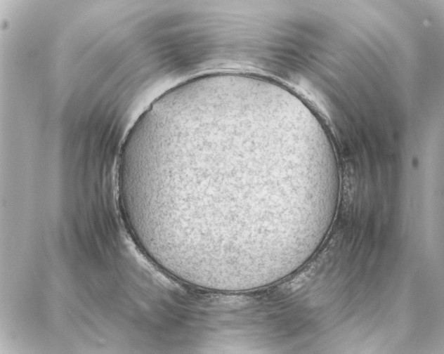 X0000087361382200705111634