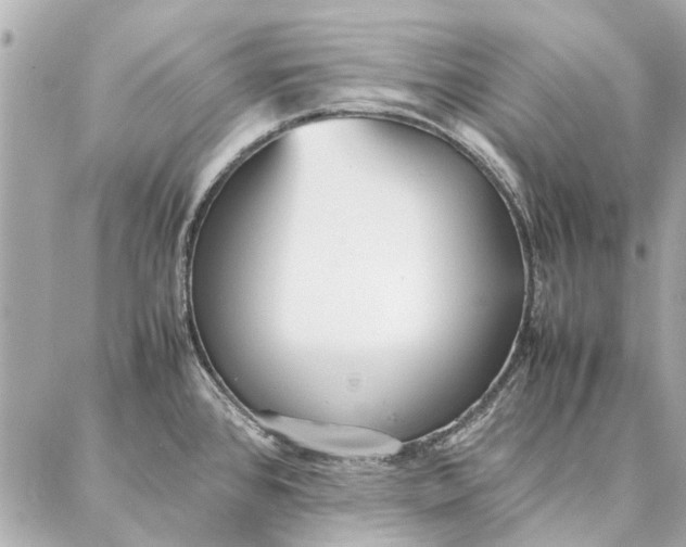 X0000087361384200705111634