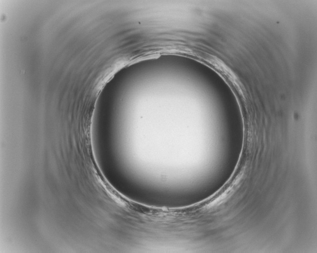 X0000087361385200705111634