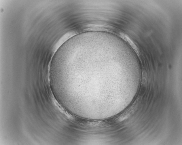 X0000087361386200705111634