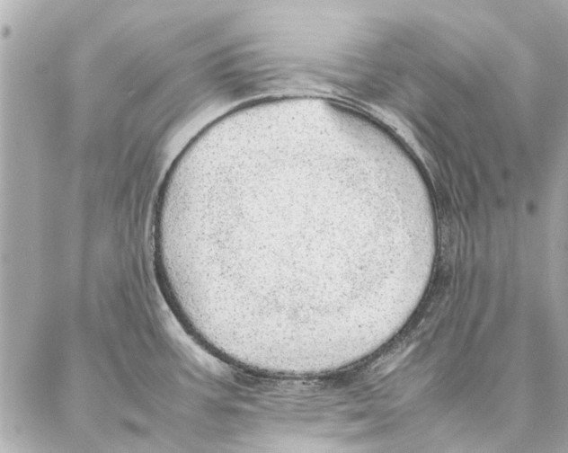 X0000087361387200705111634