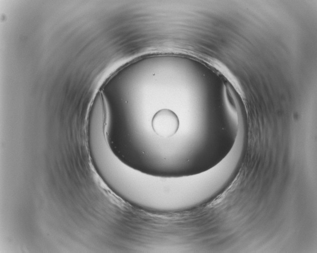 X0000087361388200705111634