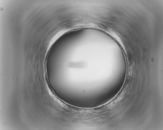 X0000087361389200705111634