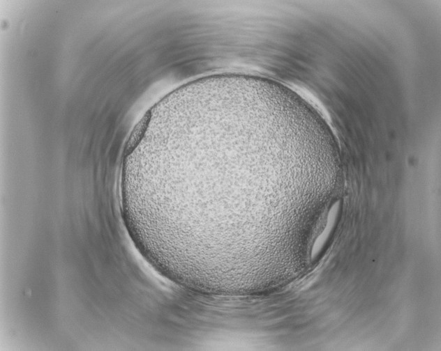 X0000087361391200705111634