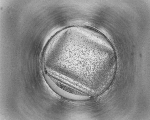 X0000087361392200705111634