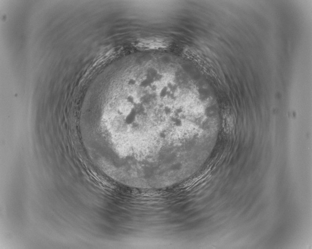 X0000087361393200705111633