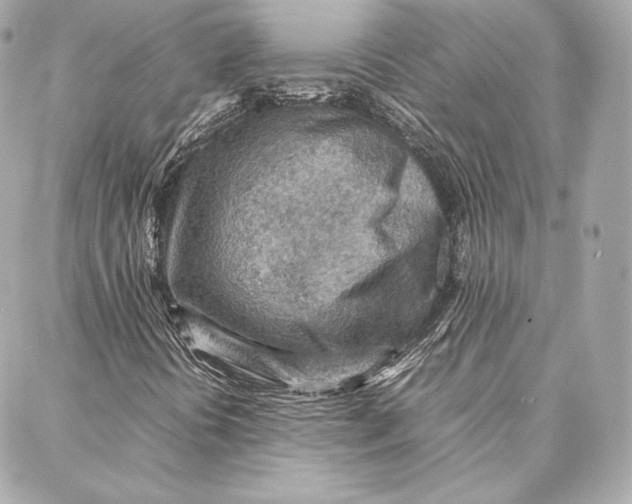 X0000087361394200705111633