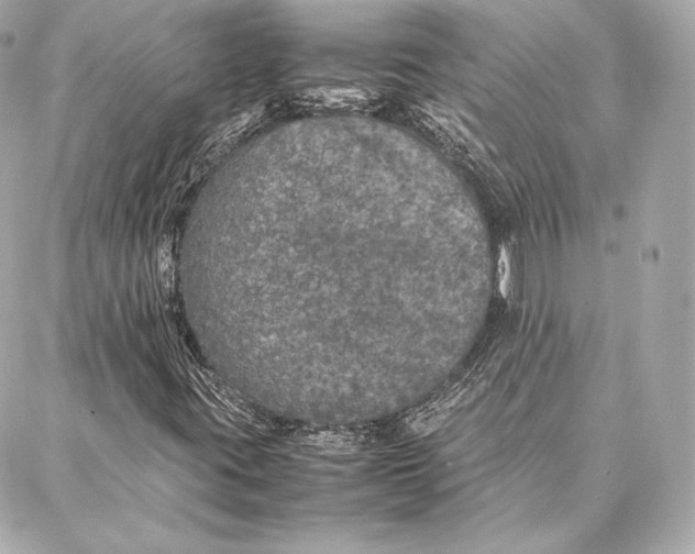 X0000087361395200705111633