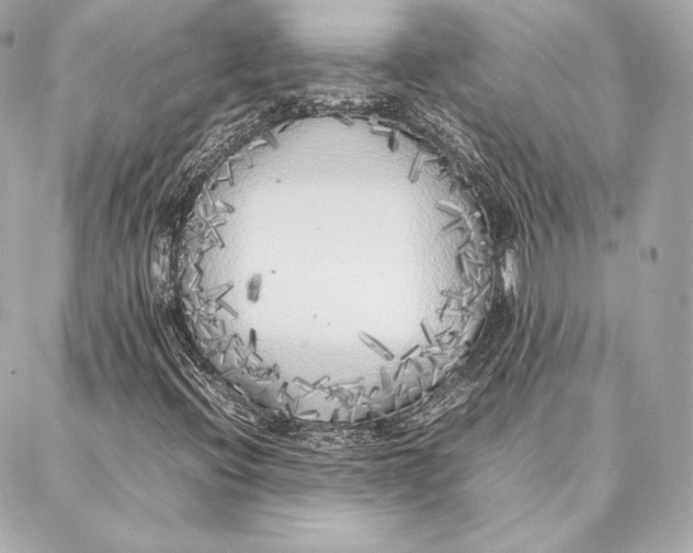 X0000087361396200705111633