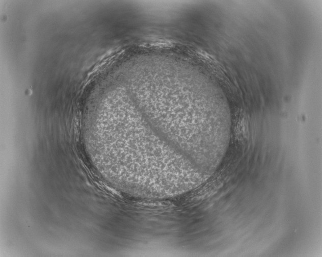 X0000087361397200705111633