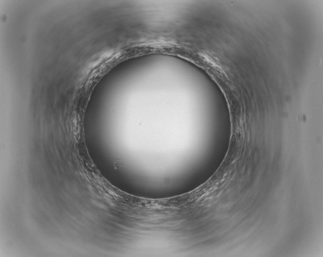 X0000087361398200705111633