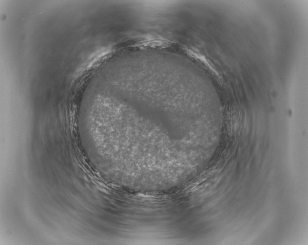 X0000087361399200705111633