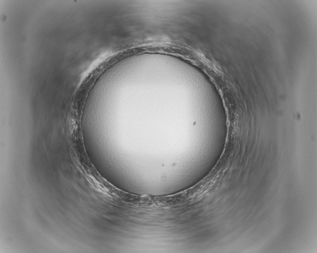 X0000087361400200705111633