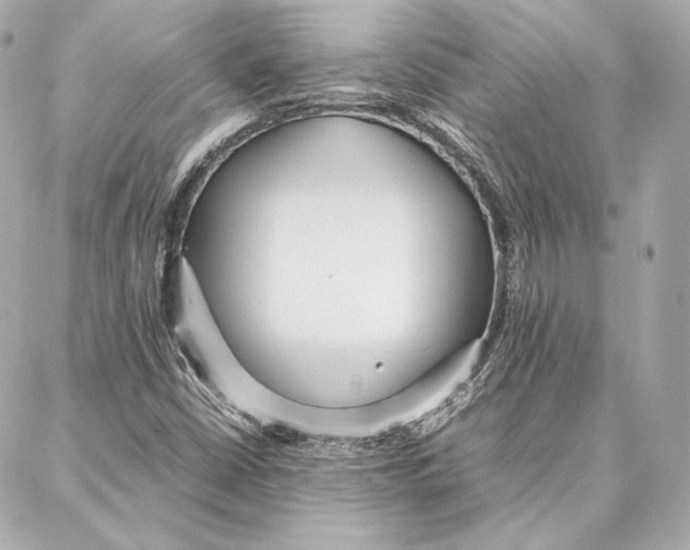 X0000087361402200705111633