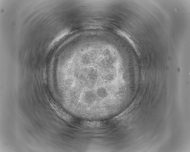 X0000087361403200705111633