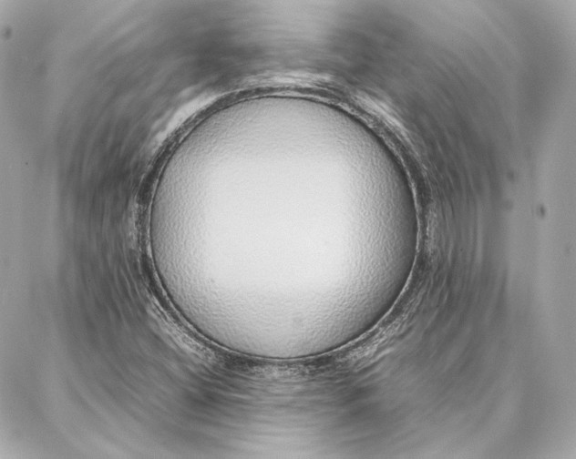 X0000087361404200705111633