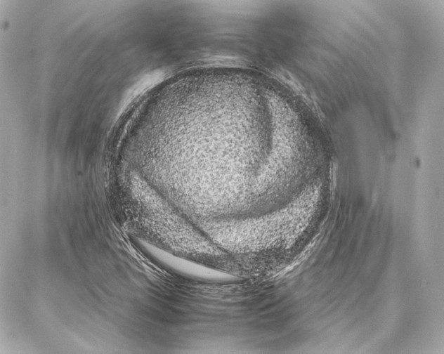 X0000087361405200705111633