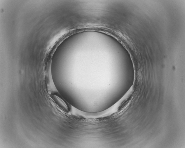 X0000087361406200705111633