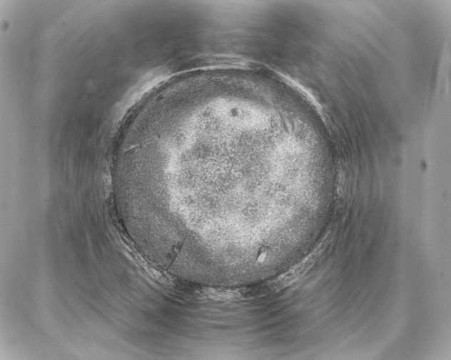 X0000087361407200705111633