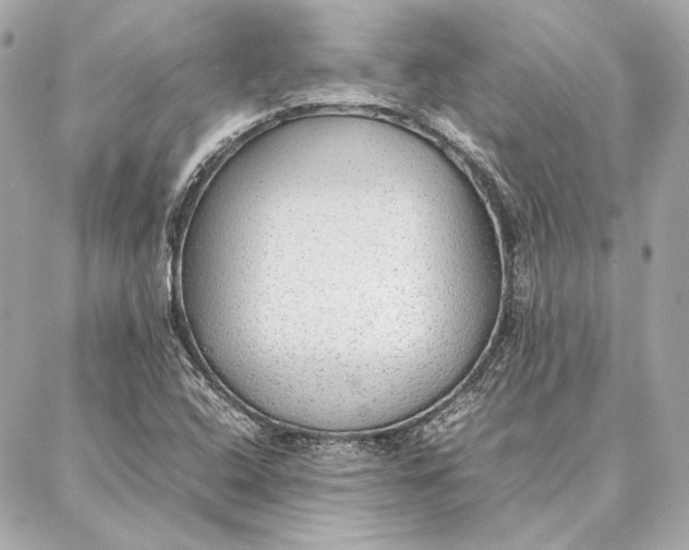 X0000087361408200705111633