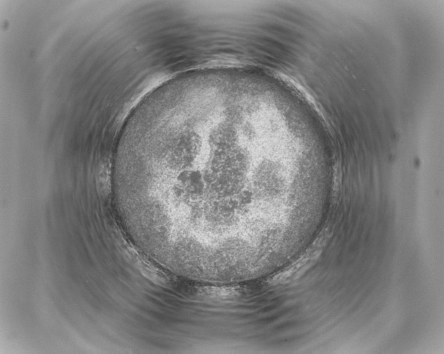 X0000087361409200705111633