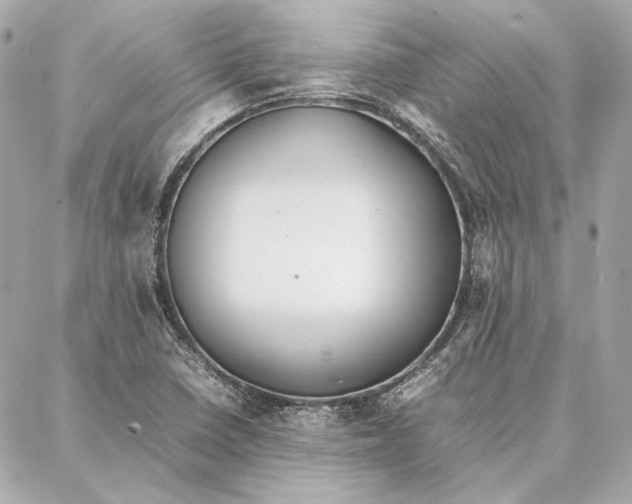 X0000087361410200705111633