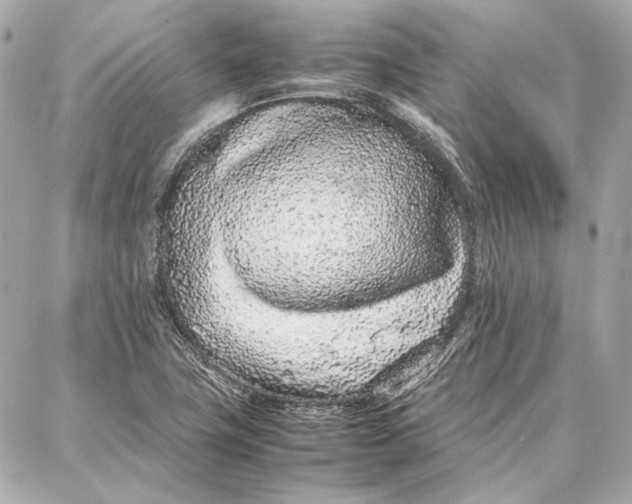 X0000087361411200705111633