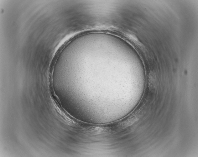 X0000087361412200705111633