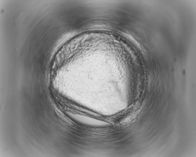 X0000087361413200705111633