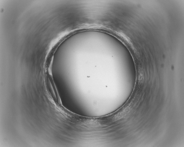 X0000087361414200705111633