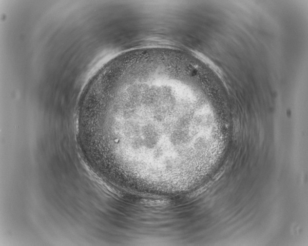 X0000087361415200705111633