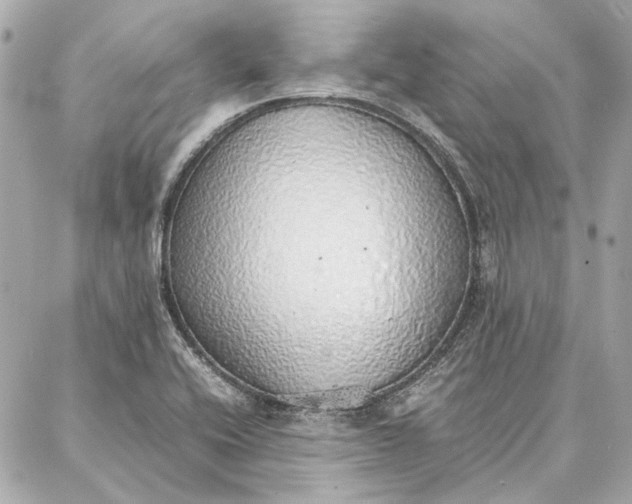 X0000087361416200705111633