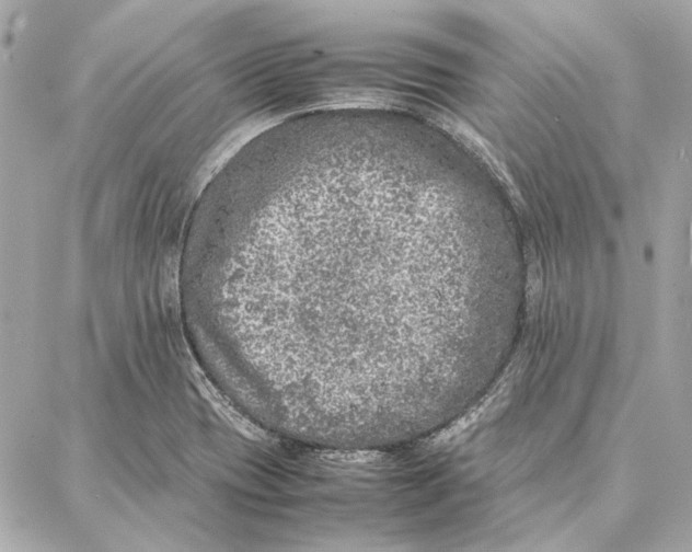 X0000087361417200705111633