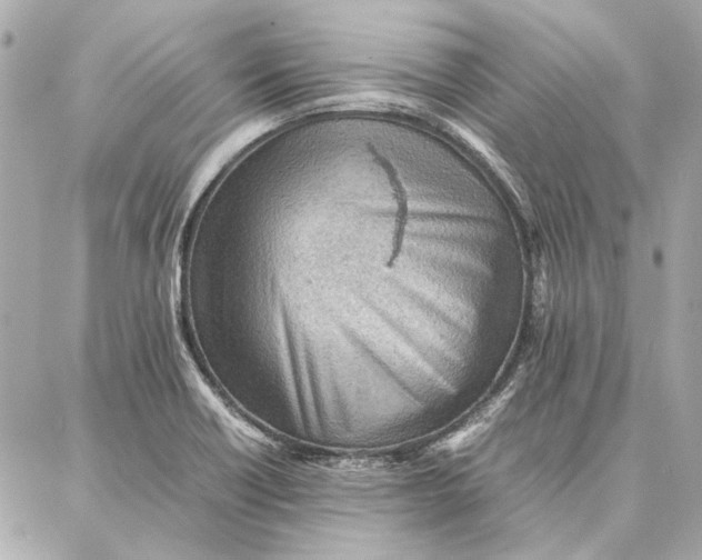 X0000087361418200705111633