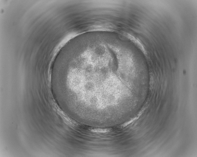 X0000087361419200705111633