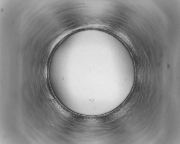 X0000087361420200705111633