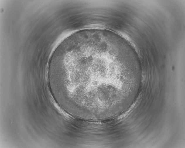 X0000087361421200705111633