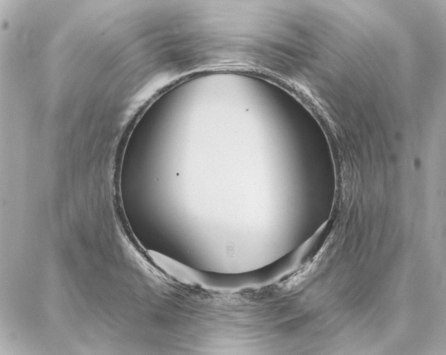 X0000087361422200705111633