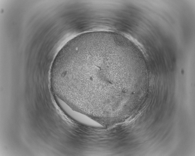 X0000087361423200705111633