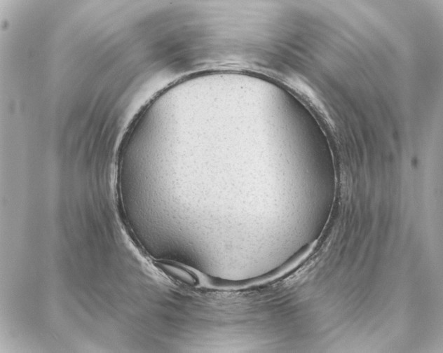 X0000087361424200705111633