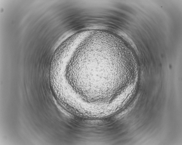 X0000087361425200705111634