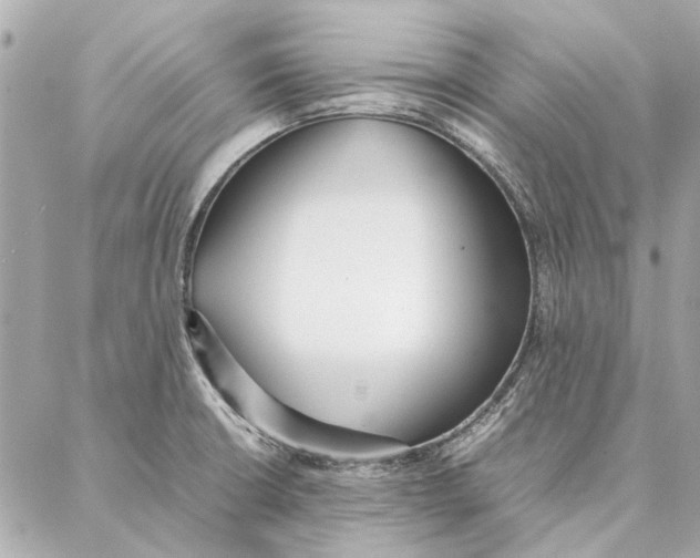 X0000087361426200705111634