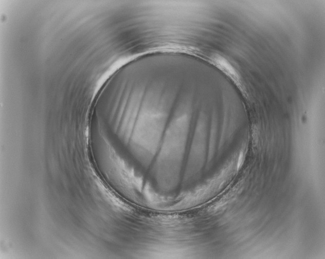 X0000087361428200705111634