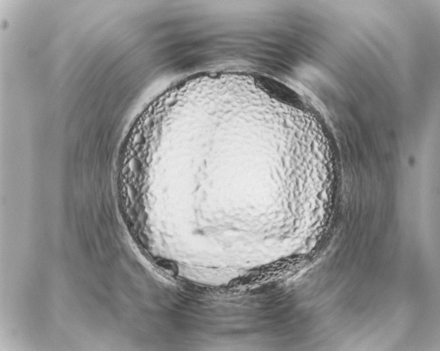 X0000087361429200705111634